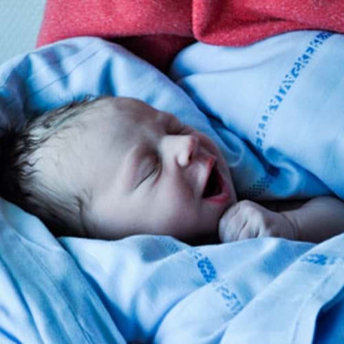 Baby Maria Projekt Web