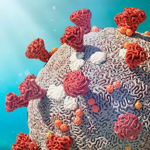 Coronavirus Stock